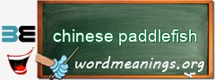 WordMeaning blackboard for chinese paddlefish